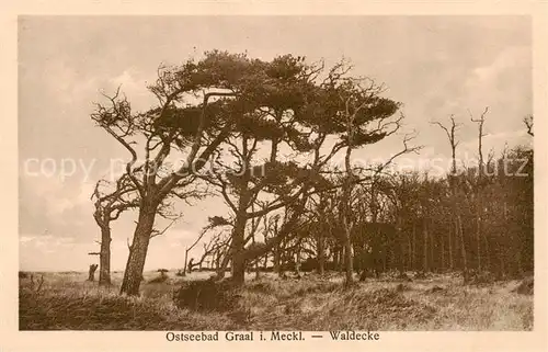 AK / Ansichtskarte  Graal-Mueritz_Ostseebad Waldecke Graal-Mueritz_Ostseebad