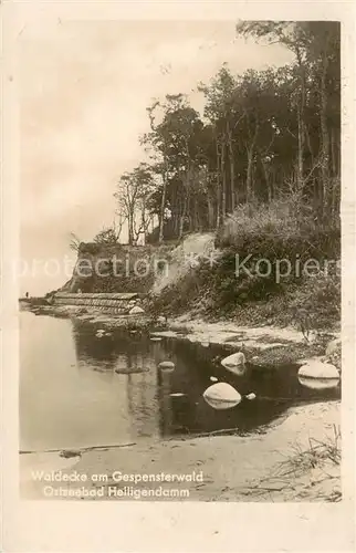 AK / Ansichtskarte  Heiligendamm_Ostseebad Waldecke am Gespensterwald Heiligendamm_Ostseebad