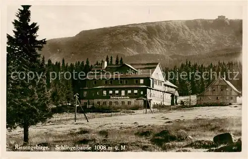 AK / Ansichtskarte  Riesengebirge_Schlesischer_Teil schlingelbaude 