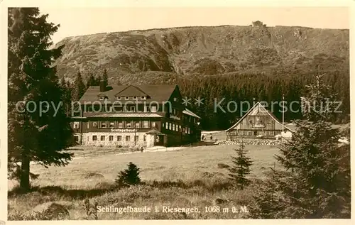 AK / Ansichtskarte  Riesengebirge_Schlesischer_Teil Schlingelbaude 