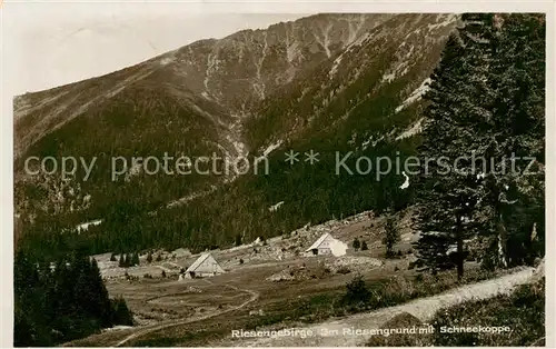 AK / Ansichtskarte  Riesengebirge_Schlesischer_Teil Im Riesengrund mit Schneekoppe 