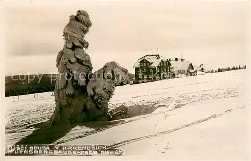 AK / Ansichtskarte  Riesengebirge_Schlesischer_Teil Fuchsbergbaude 