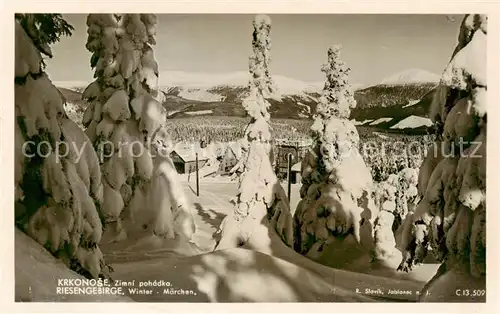 AK / Ansichtskarte  Riesengebirge_Schlesischer_Teil Winter Maerchen 