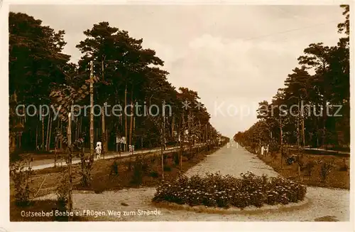 AK / Ansichtskarte  Baabe_Ostseebad_Ruegen Weg zum Strande Baabe_Ostseebad_Ruegen