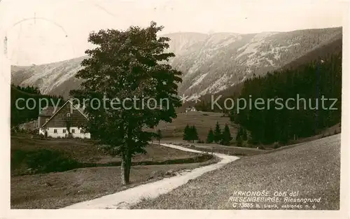 AK / Ansichtskarte  Riesengebirge_Schlesischer_Teil Im Riesengrund 