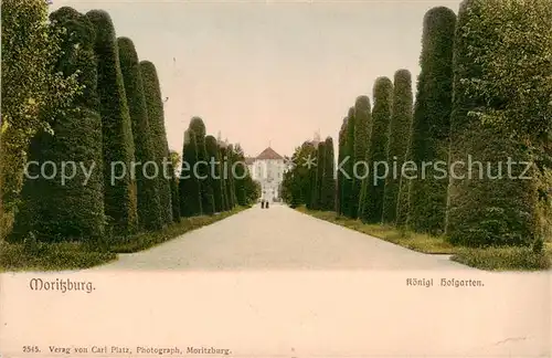 AK / Ansichtskarte  Moritzburg_Sachsen Koeniglicher Hofgarten Moritzburg Sachsen