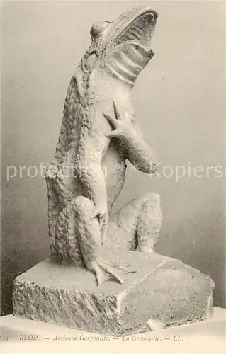 AK / Ansichtskarte Blois_41 Ancienne Gargouille La Grenouille 