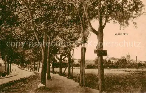 AK / Ansichtskarte  Altruppin Landstrasse Allee Blick zum Ort Altruppin