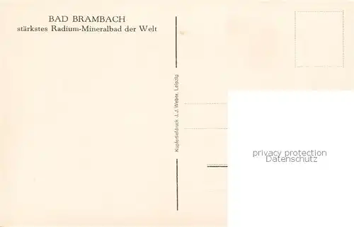 AK / Ansichtskarte  Bad_Brambach Kurpark mit Roethenbach und Weidighaus Staerkstes Radium-Mineralbad der Welt Bad_Brambach