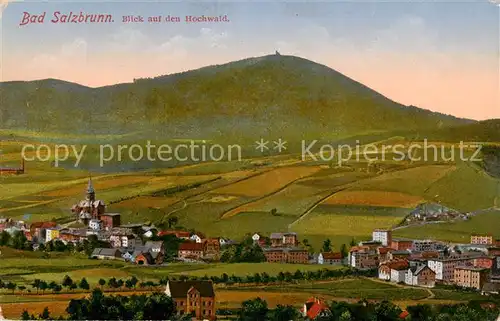 AK / Ansichtskarte 73818617 Bad_Salzbrunn_Szczawno-Zdroj_PL Blick auf den Hochwald 