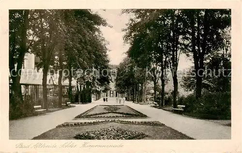 AK / Ansichtskarte  Bad_Altheide_Polanica-Zdrój Kurpromenade 