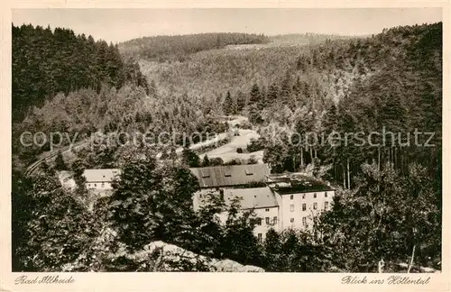 AK / Ansichtskarte  Bad_Altheide_Polanica-Zdrój Blick ins Hoellental 