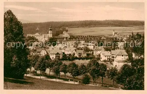 AK / Ansichtskarte  Bad_Altheide_Polanica-Zdrój Panorama 