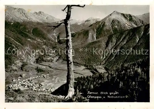 AK / Ansichtskarte Zernez_GR Panorama Blick gegen Ofenpass und Nationalpark Zernez_GR