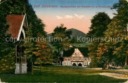 AK / Ansichtskarte 73818945 Bad_Salzbrunn_Szczawno-Zdroj_PL Musikpavillon mit Wiesenhaus und Hochwald 