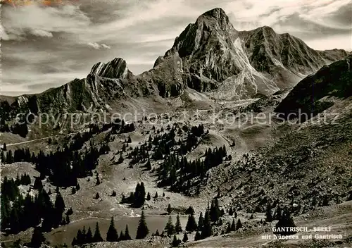AK / Ansichtskarte Gantrisch_2087m_BE Seeli mit Nuenenen und Gantrisch 