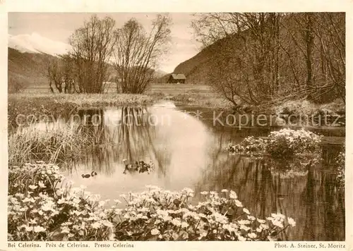 AK / Ansichtskarte Celerina_GR Panorama Celerina_GR