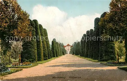 AK / Ansichtskarte  Moritzburg_Sachsen Hofgarten Moritzburg Sachsen