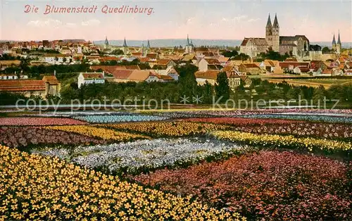 AK / Ansichtskarte  Quedlinburg Stadtansicht Quedlinburg