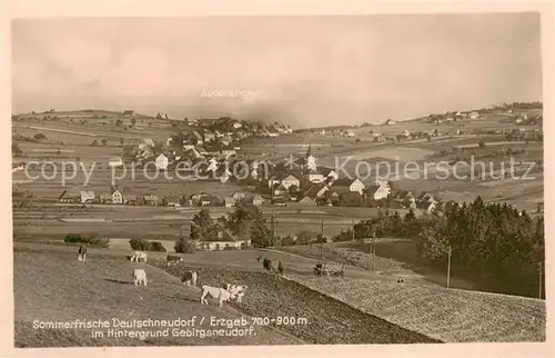 AK / Ansichtskarte  Deutschneudorf_Erzgebirgskreis Panorama mit Gebirgsneudorf 