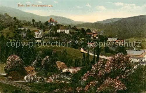 AK / Ansichtskarte  Hain__Giersdorf_Riesengebirge_Podgorzy_PL Panorama 