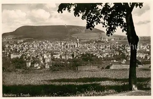 AK / Ansichtskarte  Annaberg_-Buchholz_Erzgebirge Panorama 