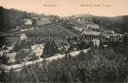 AK / Ansichtskarte  Kipsdorf_Altenberg Panorama mit Oberkipsdorf 