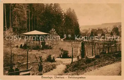 AK / Ansichtskarte  Braunlage Verlobungswiese Braunlage