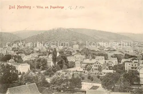 AK / Ansichtskarte  Bad_Harzburg Villen am Papenberge Bad_Harzburg