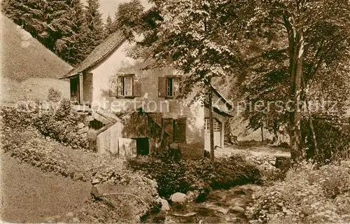 AK / Ansichtskarte  Loeffeltal_Hinterzarten Schwarzwaldhaus 