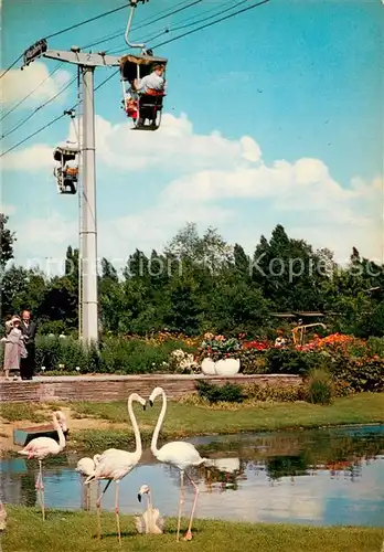 AK / Ansichtskarte  Sessellift_Chairlift_Telesiege Bundesgartenschau in Koeln 71 Flamingoteich  