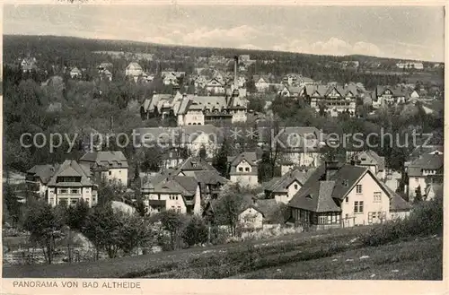 AK / Ansichtskarte  Bad_Altheide_Polanica-Zdrój Panorama 