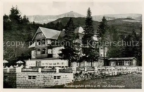 AK / Ansichtskarte 73819814 Hain__Giersdorf_Riesengebirge_Podgorzy_PL Hainbergshoeh mit Schneekoppe 