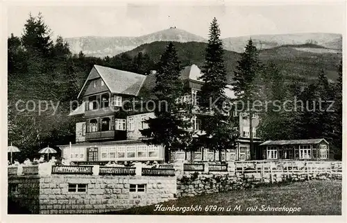 AK / Ansichtskarte  Hain__Giersdorf_Riesengebirge_Podgorzy_PL Hainbergshoeh mit Schneekoppe 