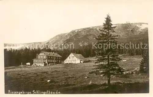 AK / Ansichtskarte  Riesengebirge_Schlesischer_Teil Schlingelbaude 