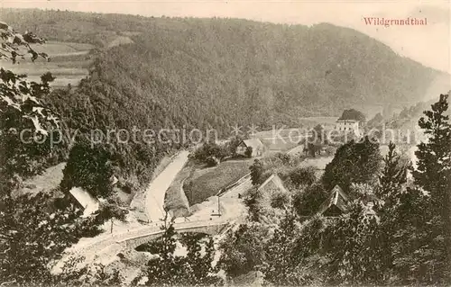 AK / Ansichtskarte 73819896 Wildgrundtal Panorama Wildgrundtal