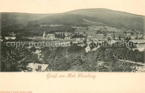 AK / Ansichtskarte  Bad_Flinsberg_Swieradow_Zdroj_PL Panorama 