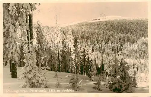 AK / Ansichtskarte  Riesengebirge_Schlesischer_Teil Peterbaude Panorama 