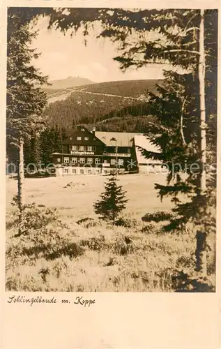 AK / Ansichtskarte  Riesengebirge_Schlesischer_Teil Schlingelbaude mit Koppe 