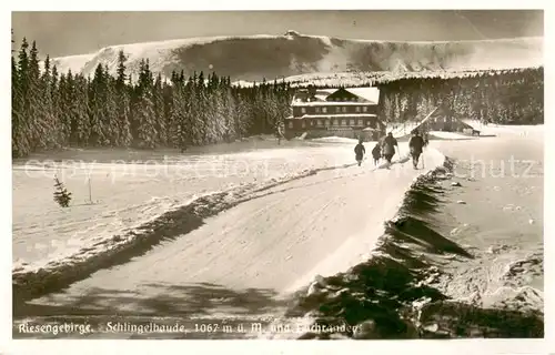 AK / Ansichtskarte  Riesengebirge_Schlesischer_Teil Schlingelbaude und Teichraender 