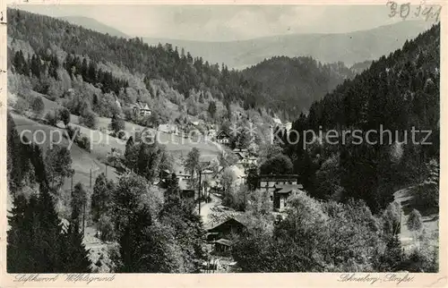 AK / Ansichtskarte  Woelfelsgrund_Glatz_PL Schneeberg Strasse 