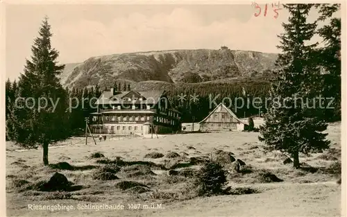 AK / Ansichtskarte  Riesengebirge_Schlesischer_Teil Schlingelbaude 