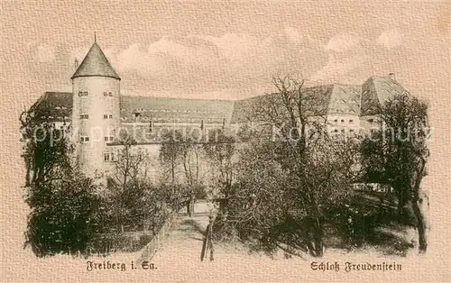 AK / Ansichtskarte 73820201 Freiberg__Sachsen Schloss Freudenstein 