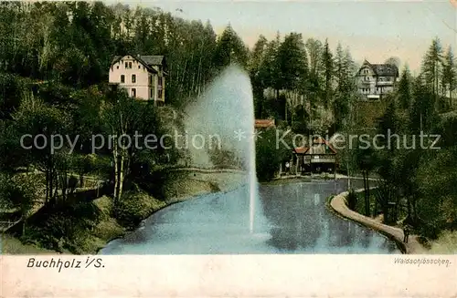 AK / Ansichtskarte  Buchholz_Sachsen Waldschloesschen Fontaene Buchholz Sachsen