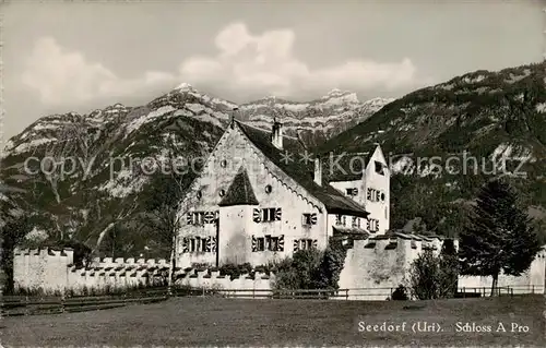 AK / Ansichtskarte Seedorf_UR Schloss A Pro Seedorf_UR