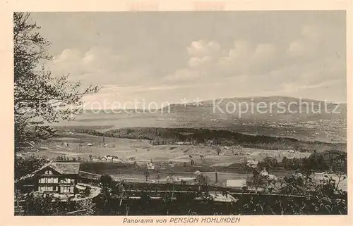 AK / Ansichtskarte Hoefen_Thun_BE Pension Hohlinden 