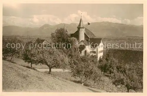 AK / Ansichtskarte Marbach_Rheintal_SG Restaurant Schloss Weinstein 