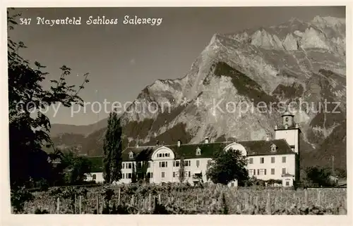 AK / Ansichtskarte Mayenfeld_Maienfeld_GR Schloss Salenegg 