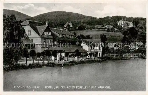 AK / Ansichtskarte  Ilsenburg_Harz Hotel Zu den roten Forellen und Waldhoehe Ilsenburg Harz