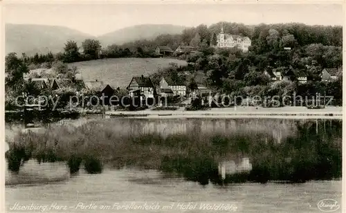 AK / Ansichtskarte  Ilsenburg_Harz Forellenteich mit Hotel Waldhoehe Ilsenburg Harz